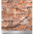 thumbnail image 1 of Soimoi Velvet Fabric Floral,Book & Golden Retriever Dog Fabric Prints by Yard 58 Inch Wide, 1 of 3