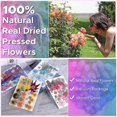 thumbnail image 2 of 144pcs Natural Dried Pressed Flowers For Resin,dry Flower Bulk Natural Herbs Kit For Candle,epoxy R (haoyi, 2 of 5