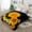 1 ply-Sunflower, variant on JML Soft Plush Fleece Blanket for Bed King 83"x91" 5.7lb,2 Ply Raschel Blanket Lion&Dolphin