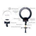 thumbnail image 4 of SalonMore Pro Photography Set 12" LED Ring Lamp 2500K-6000K Dimmable Ring Light Kit Black, 4 of 5
