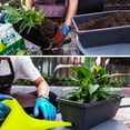 thumbnail image 4 of Vegetable Planting Pot Plastic Flower Pot Balcony Vegetable Planting Trough Halloween Decorations, 4 of 9