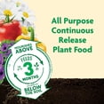 thumbnail image 3 of Miracle-Gro Shake N Feed Tout Usage Nourriture pour Plantes / Engrais Lot de 2, 3 of 11
