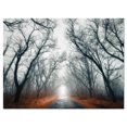 thumbnail image 2 of Mystic Road in Forest - Landscape Photography Canvas Print, 2 of 3