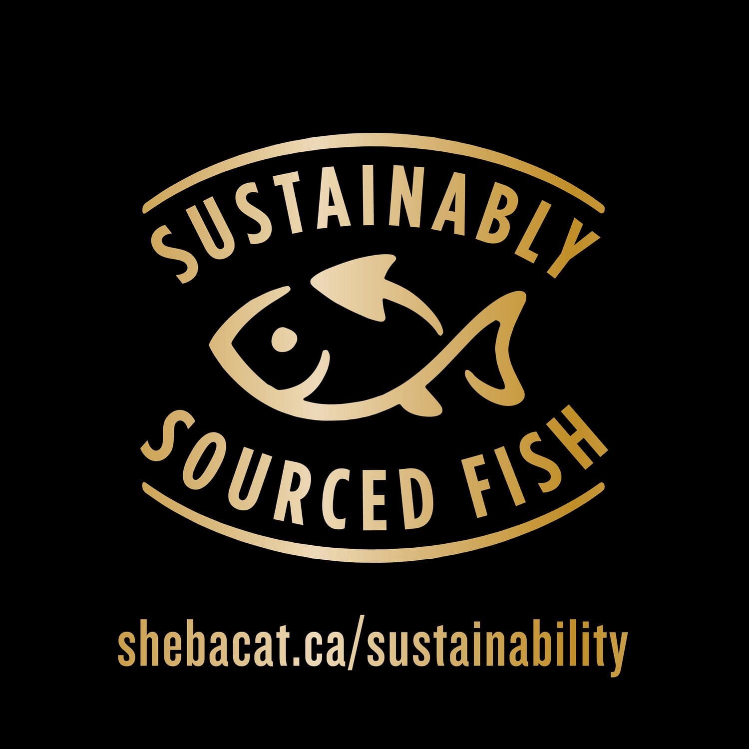 Sheba Bistro Perfect Portions Salmon & Chicken and Savoury Salmon & Tuna Adult Wet Cat Food Paté Variety 12 Pack
