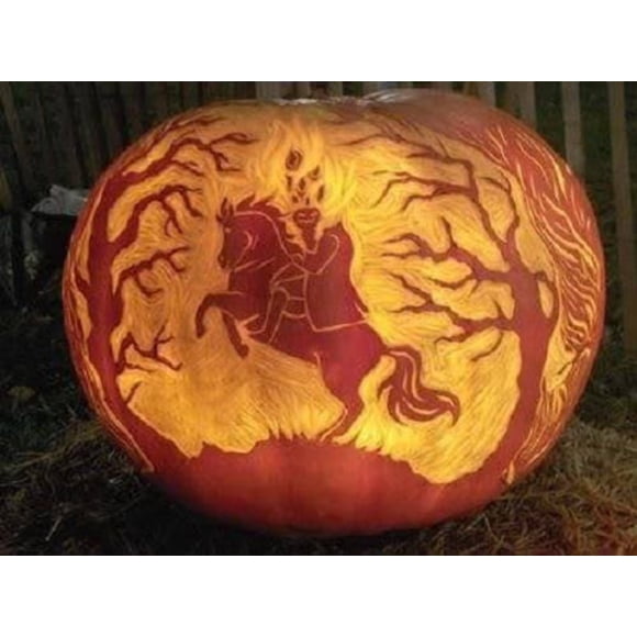 50 Graines de Citrouille Jack-O'-Lantern Cucurbita Maxima Légumes