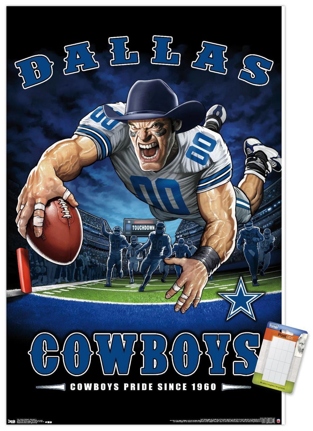 NFL Dallas Cowboys - End Zone 17 Wall Poster