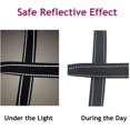 thumbnail image 3 of MesaSe Reliable Glow-In-The-Dark Dog Collar  Comfortable  Adjustable  and Safe - Ensuring Visibility and Safety for Nighttime Walks of All Breeds and Sizes, 3 of 7