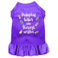 thumbnail image 1 of Pumpkin Kisses Screen Print Dog Dress Purple Xl (16), 1 of 1
