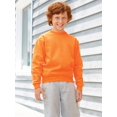 thumbnail image 4 of Jerzees Chandail en Molleton Col Rond pour Jeunes, m, Violet Profond, 4 of 8