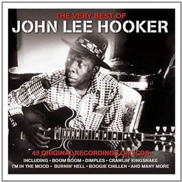 The Very Best of John Lee Hooker [Not Now]