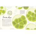thumbnail image 3 of Les Merveilles de la Nature Couverture Rigide 2019 par Ben Hoare, 3 of 11