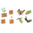 thumbnail image 2 of HILABEE Figurines du Cycle de Vie Jouet Papillon et Plantes de Haricot Cadeau Jouet Scientifique pour Enfants, 2 of 9
