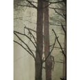 thumbnail image 3 of Hometrends Trailblazer Decorative Fabric Shower Curtain, 3 of 5