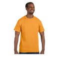 thumbnail image 1 of Hanes T-Shirt à Manches Courtes Sans Étiquette, Style 5250, 1 of 1