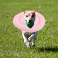 thumbnail image 4 of SEWCHICS Cône pour Chien de Rechange en Tissu pour Récupération Postchirurgicale 1 Ensemble, 4 of 8