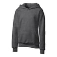 thumbnail image 1 of Clique Basics Youth Flc P/O Hoodie, 1 of 1