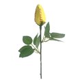 thumbnail image 1 of RXIRUCGD Roses de Softball Cadeaux de Softball en Cuir de Softball Cadeau de Fête des Mères-Sport en Cuir Rose R Ro, 1 of 2