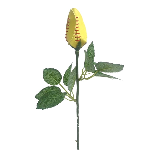 RXIRUCGD Roses de Softball Cadeaux de Softball en Cuir de Softball Cadeau de Fête des Mères-Sport en Cuir Rose R Ro
