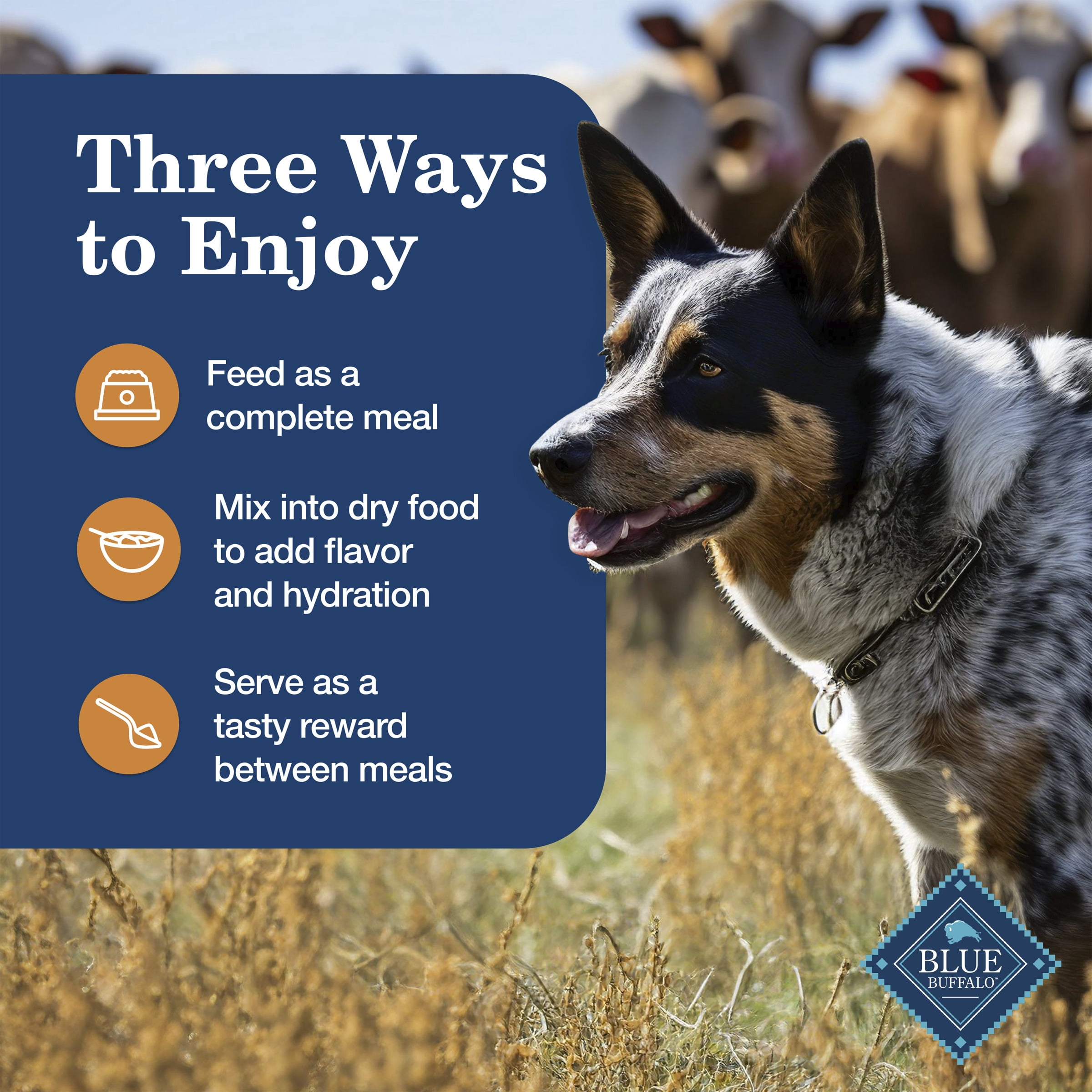 Blue Buffalo Homestyle Recipe Large Breed Chicken Dinner Wet Dog Food