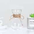 thumbnail image 4 of Glass Vases Transparent Water Hydroponics Flower Rope Dry Flower Vase Living Room Table Decoration;Glass Vases Transparent Water Hydroponics Flower Rope Dry Flower Vase, 4 of 9