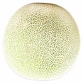thumbnail image 4 of Cantaloupe, 4 of 4
