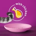 thumbnail image 2 of WHISKAS Dry Kitten Food, Chicken, For Cats 1-12 Months, High Quality Protein, 2 of 8