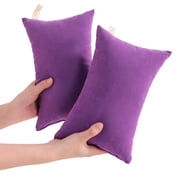 Mashaouyo Clearance 2 Pack Microfiber Soft Tiny Pillows Machine Washable Travel Pillows 11 X 7 Red