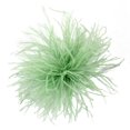 thumbnail image 1 of SNNROO Feather Brooch Feathers Corsages Cloth Decorations Ostrich Feather Material, 1 of 21