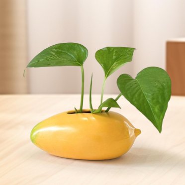 Elodie Mango Shaped Ceramic Flower Vase Bud Vase Plant Pot Desktop Propagation Vase