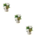 thumbnail image 1 of kurtrusly Artificial Flowers With Vase Add Of Color And Style To Any Room Indoor Pinellia white 3Set, 1 of 6