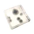 thumbnail image 4 of MesaSe Coque de Protection Transparente Étuis Coquilles Boîtier pour Gameboy Advance SP pour GBA SP, 4 of 16
