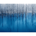 thumbnail image 2 of 3D Wallpaper Forest Painting Parade SKU# WAL0013, 2 of 4