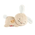 thumbnail image 1 of Fisher-Price Soothe & Settle Bunny Plush Baby Infant Toy & Sound Machine with Motion, Multicolor, 1 of 7