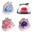 thumbnail image 4 of facefd Preserved Flower Rose Never Withered Roses Handmade Fresh Flower Cover for Valentine's Day Anniversary Birthday Blue, 4 of 4