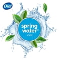 thumbnail image 4 of Dial Spring Water Refreshing Body Wash, 473ml, Dermatologist Tested, Free from Silicones, Parabens, Phthalates, SLS, 4 of 9