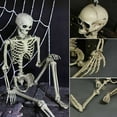 thumbnail image 5 of Halloween Human Skeleton Oversized Poseable Full Life Size Decoration Party Prop, 5 of 5