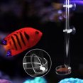 thumbnail image 1 of Fish  Feeder, With 2 Suction Cups Aquarium Feeder, With Tray For Tropical Fish For  Shrimp, 1 of 8