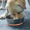 thumbnail image 4 of Silicone Stainless Steel Pet Dog Bowl Water Basin Anti-Slip Bottom Large Capacity, 4 of 5