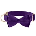 thumbnail image 1 of HLONK Durable Polyamide Adjustable Velvet Dog Collar - with Bowtie and Metal Buckle - Cute Solid Pattern for Small  Medium  and Large Dogs  Ideal Gift for Puppies, 1 of 7