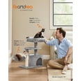 thumbnail image 3 of FEANDREA Cat Tree, Small Cat Tower, Cat Condo, Kitten Activity Center with Scratching Post, 3 of 7