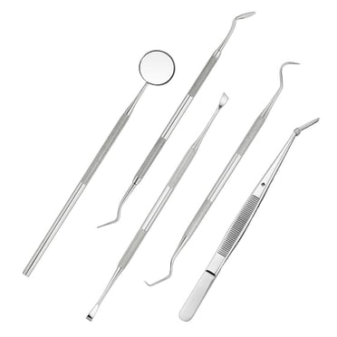 XZNGL Dental Tools Tool Kit 5Pcs Stainless Steel Dental Hygiene Kit Tooth Scraper Probe Tweezers Tool