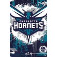 thumbnail image 1 of NBA Charlotte Hornets - Logo maximaliste 23, 1 of 4