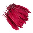 thumbnail image 4 of Maytalsory 100x DIY Boho Style Wild And Colorfast Feathers For Crafts Tear-resistant Burgendy 5Set, 4 of 6