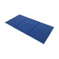 thumbnail image 3 of Almencla Folding Exercise Mat Multifunctional Portable Yoga Mat Pad for Yoga Gym Home Blue Gray, 3 of 8