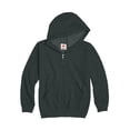 thumbnail image 1 of Hanes Kids Comfortblend EcoSmart Full-Zip Hoodie Sweatshirt, M, M, 1 of 1