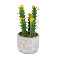 thumbnail image 1 of Vickerman FH191712 12 in. Green Potted Cactus Plastic Planter Pot, 1 of 2