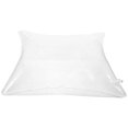 thumbnail image 1 of GARVALON Inflatable Outdoor Pillow Inserts Transparent for General Users 1Pack, 1 of 8