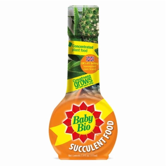 PLANT FD SUCLNT 5.9OZ(Pack of 12)