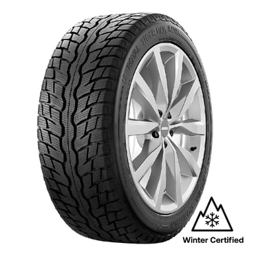 Uniroyal Tiger Paw Ice & Snow 4 tire 195/65R15 91T winter passenger car tire