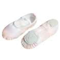 thumbnail image 1 of Girls' Bright Soft Sole Dance Shoes, Performance and Practice Paw Dance Footwear, 1 of 9